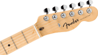 Fender Standard Tele MN BPG BTB