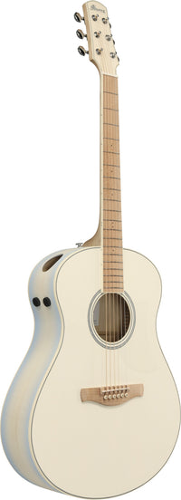 Ibanez AAM370M2E-AIB