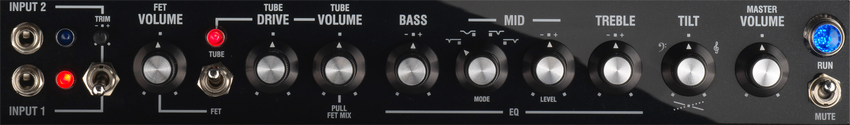 Laney DB-East Nathan East Signatur Bassamp