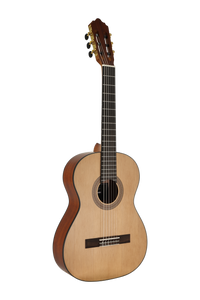 José Molinero Estudio Formado C-13