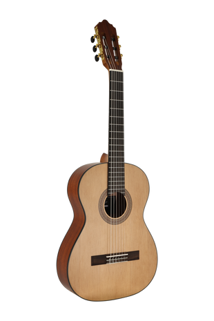 José Molinero Estudio Formado C-13