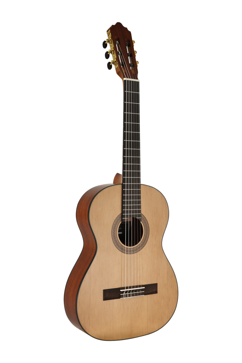 José Molinero Estudio Formado C-13