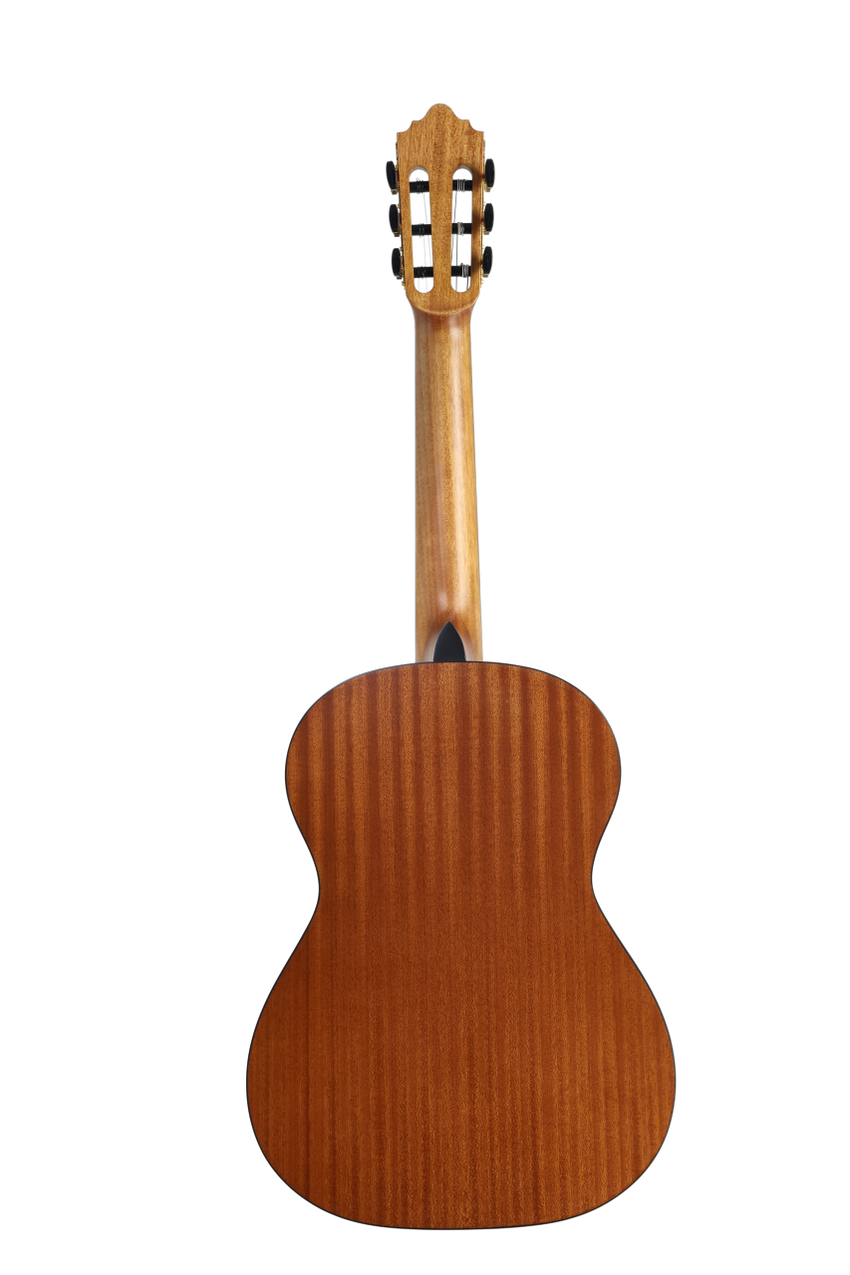 José Molinero Estudio Formado C-13