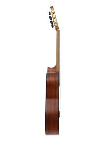 José Molinero Estudio Formado C-13