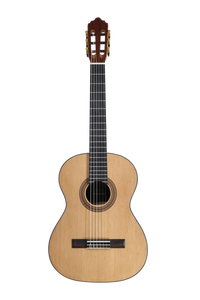 José Molinero Estudio Formado C-13