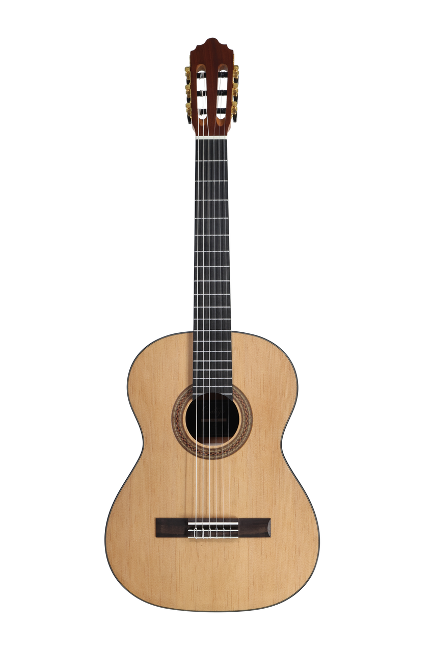 José Molinero Estudio Formado C-13