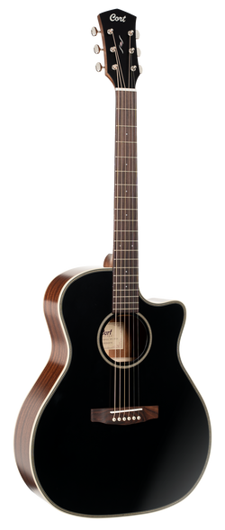 WESTERN GITARRE
