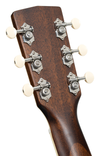Cort EXOTIC GA WALNUT - Sunburst
