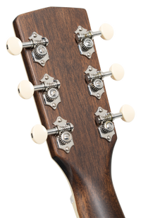 Cort EXOTIC SFX ASH - Schwarz