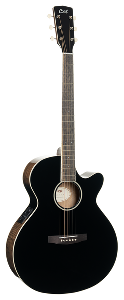 WESTERN GUITAR