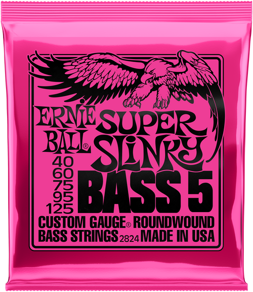 ERNIE BALL Super Slinky 5-String 40-125