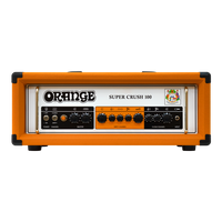 Orange Super Crush 100 Head