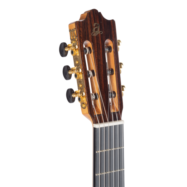 Admira Lola concert guitar