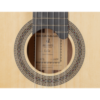 Admira Lola concert guitar