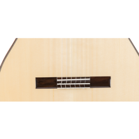 Admira Lola concert guitar