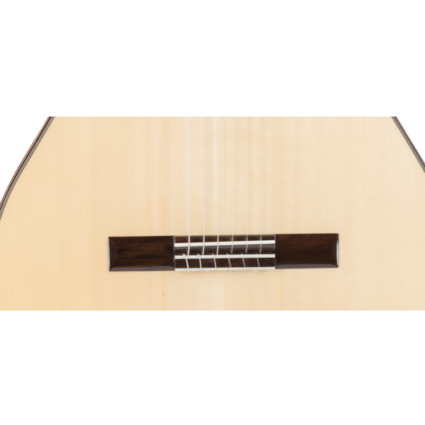 Admira Lola concert guitar