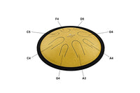 MEINL Sonic Energy 10" Compact Steel Tongue Drum, D Moll, 8 Notes, 432 Hz, Gold -CSTD3G