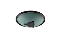 MEINL Sonic Energy 10" Compact Steel Tongue Drum, H Moll, 8 Töne, 432 Hz, Dunkelgrün-CSTD1DG