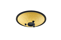 MEINL Sonic Energy 10" Compact Steel Tongue Drum, D Moll, 8 Notes, 432 Hz, Gold -CSTD3G