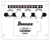 IBANEZ AEWC621-BOT Black Out
