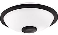NINO Percussion Mini Melody Steel Tongue Drum - 6" Bianco