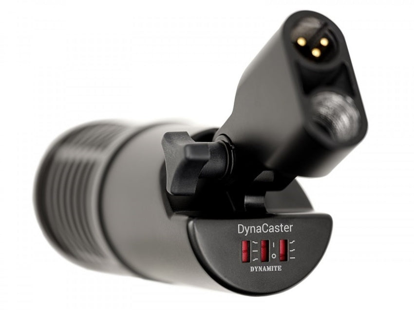 sE Electronics DynaCaster DCM 8
